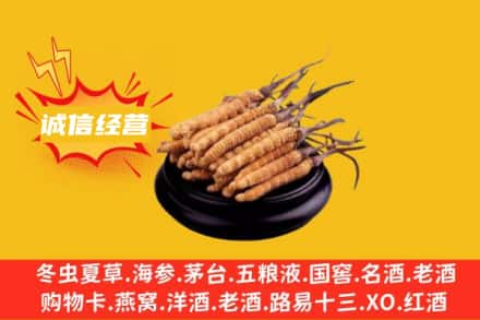 兰州永登县回收冬虫夏草